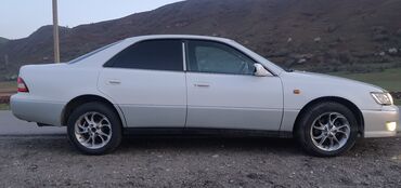 виндом машина: Toyota Windom: 2000 г., 2.5 л, Автомат, Бензин, Седан