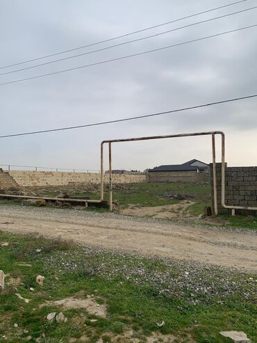 Qazanlar: 13 sot, Maklerlər narahat etməsin, Kupça (Çıxarış)