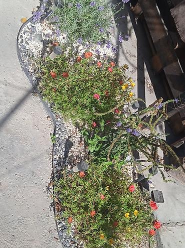 Другой декор и предметы интерьера: ВОДОПАДЫ .ВОДОЕМЫ. РОДНИКИ. ФОНТАНЫ at lalafo.kg — 10 Другой декор и предметы интерьера: ВОДОПАДЫ .ВОДОЕМЫ. РОДНИКИ. ФОНТАНЫ — 10