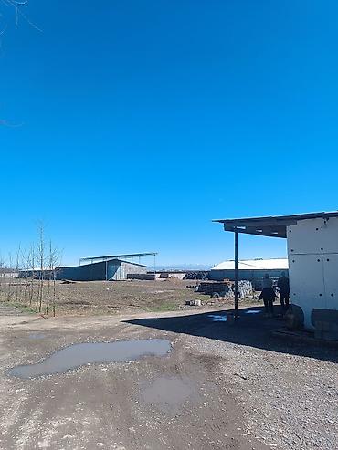 Продажа сельхоз предприятий: 1000 соток, Действующий, Частично с оборудованием, Электричество, Скважина, Холодная вода — 7