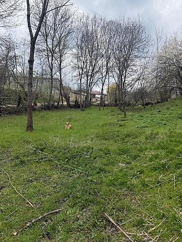 qusar rayonu: 10 sot, Tikinti, Mülkiyyətçi, Kupça (Çıxarış) — 1