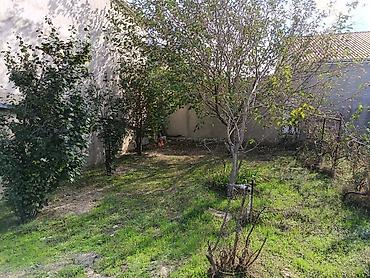 villalar: 1 otaqlı, 8 kv. m, Təmirsiz — 2