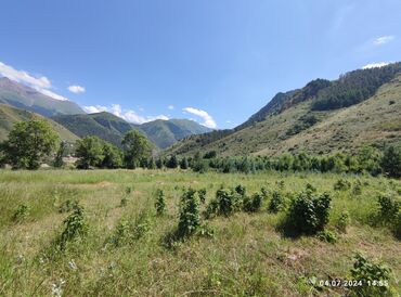 Продажа участков: 255 соток, Для сельского хозяйства — 12