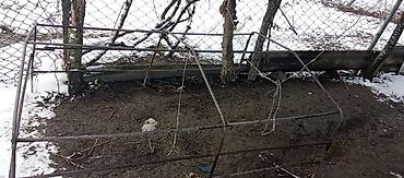 VAZ (LADA): VAZ Lada Niva 4x4 off-road - Kuzov: 3 qapılı, ağ rəng - Tam — 9