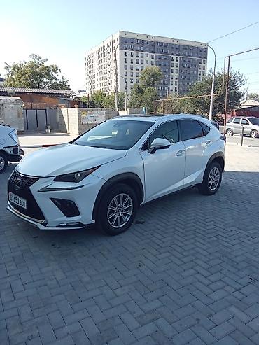 Lexus: Lexus NX: 2020 г., 2 л, Автомат, Бензин, Кроссовер — 2
