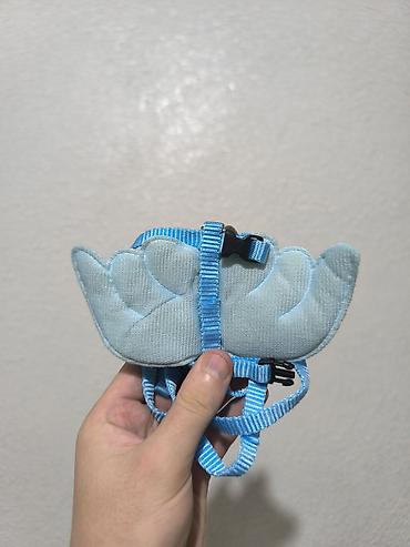 свободные руки: Поводок для кота — 1