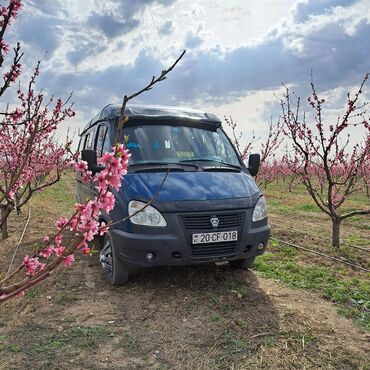 gencede iş elanları 2023: Bağban tələb olunur, Təcrübəsiz, 6/1, Tam iş günü