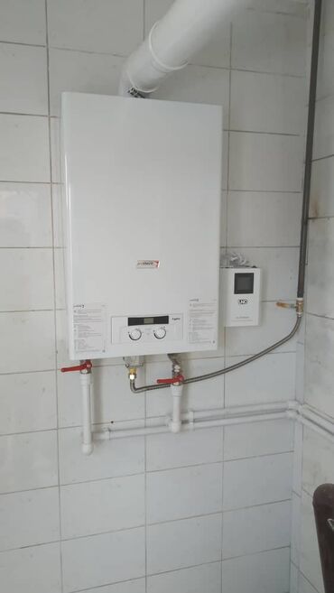 Газовые котлы: Газовый котел Protherm Lynx (Рысь) Имеется Сервисный Центр! 24 мес — 2