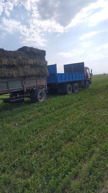 Прицепы и полуприцепы: Продаю срочно КамАЗ с прицепом Характеристики и особенности: - — 9