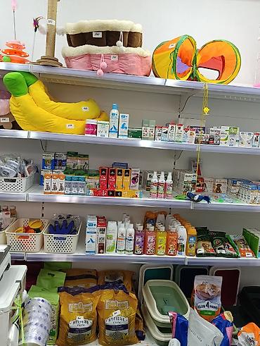 купить кошку в бишкеке: ?агазин Ветинтерсервис, Люксембург Ленина 143 — 7
