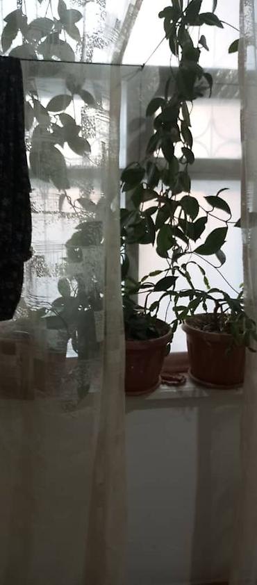 Продажа участков: 12 соток, Красная книга — 14