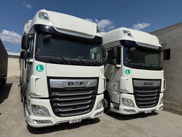 зеркало даф: Сүйрөгүч, DAF, 2019 г., Парда