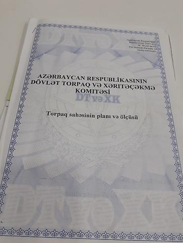 6 sot, Tikinti, Mülkiyyətçi, Kupça (Çıxarış)