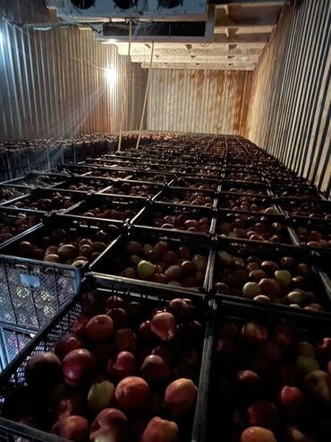 мясной домик бишкек: Алмалар Дүңүнөн