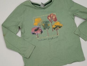koszula khaki: Bluzka, Little kids, 7 lat, 116-122 cm, stan - Dobry