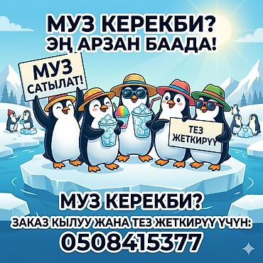 скорый: ​МУЗ САТЫЛАТ! 🧊🐧 ​Сиздин бизнесиңиз же кечеңиз үчүн таза жана сапаттуу — 1