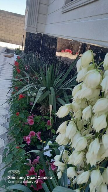 Долгосрочная аренда домов: Просторный загородный дом с благоустроенной территорией - — 1