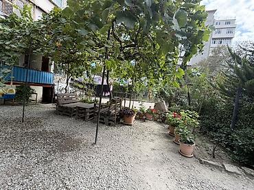 Tecili ev eşyalariyla birlikde satilir Həyətli mənzil – yaşıllıqla lalafo.az -da Tecili ev eşyalariyla birlikde satilir Həyətli mənzil – yaşıllıqla