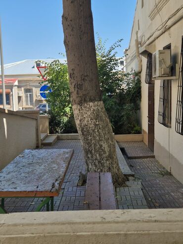 Uzunmüddətli kirayə mənzillər: Mərkəzdə, Əla Yerləşmə ilə Ailə və ya Ofis üçün– Alov Qüllələrinə — 6