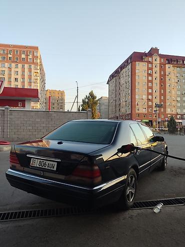 Транспорт: Mercedes-Benz S-Class: 1997 г., 5 л, Автомат, Бензин, Седан — 4