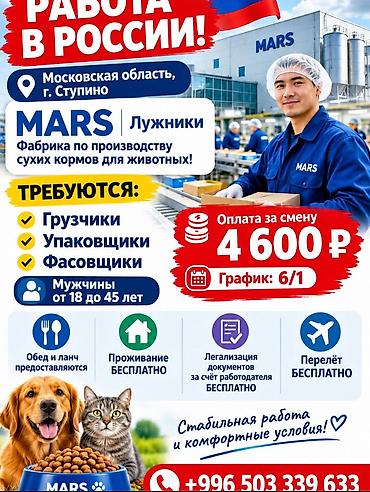 работа бишкек склад: Талап кылынат Таңгактоочу, Төлөм: Жума сайын, Тажрыйбасыз — 1