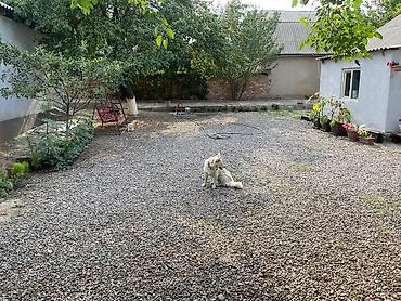 Продажа коттеджей и домов: СрочноПродается домна очень уютномтииихом переулкев маленьком — 6