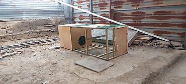 Товары и оборудование для с/х животных: Переносная клетка для цыплят 🔥🔥🔥 Уличный вольер/курятник из дерева с — 1