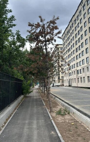 сколько стоит трехкомнатная квартира в бишкеке: 1 комната, 40 м², Элитка, 3 этаж, Евроремонт