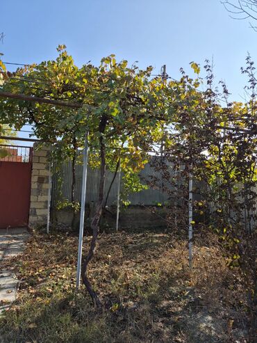 Torpaq sahələrinin satışı: 8 sot, Mülkiyyətçi, Kupça (Çıxarış), Texniki pasport — 2