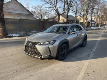 Lexus: Lexus : 2018 г., 2 л, Типтроник, Гибрид, Хэтчбэк