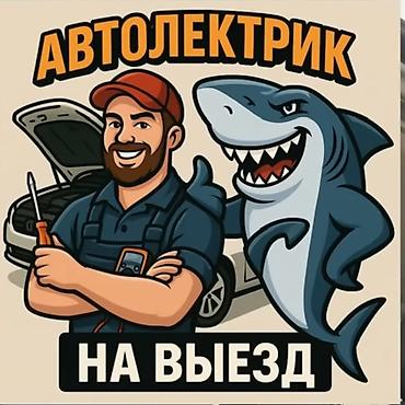 Услуги автоэлектрика, Компьютерная диагностика, Специализация: Легковое авто, С выездом