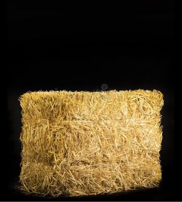 Корма для с/х животных: Продаётся жёлтая чистая салома пшеницы .Таза будай саман сатылат