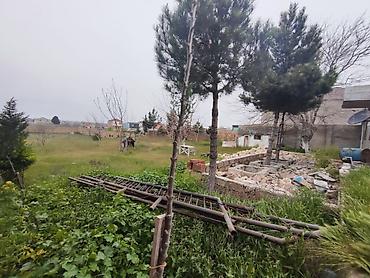 sibrizde evler: Bakı, Nardaran qəs., 185 kv. m, 7 otaqlı, Hovuzsuz, Artezian quyusu — 8
