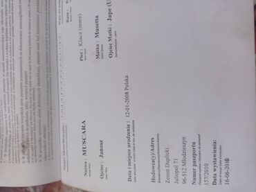 Лошади, кони: Продаю | Кобыла (самка) — 5