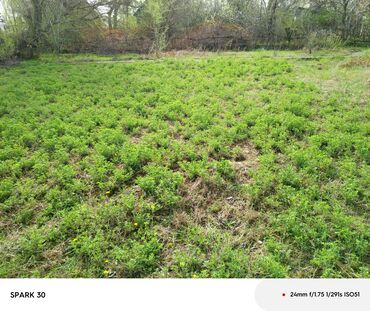 дом институт земледелия: 5 соток, Для строительства, Красная книга