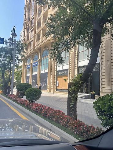 Квартиры: 3 комнаты, Новостройка, 202 м² — 6