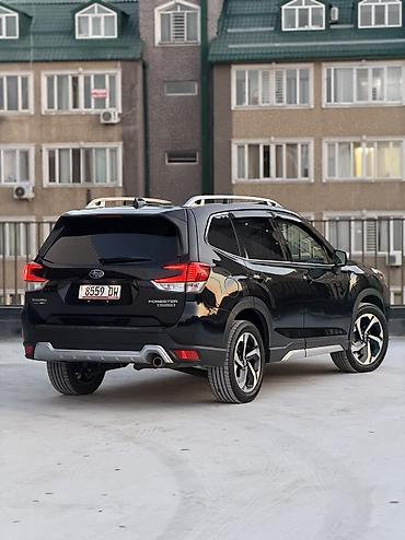дорожные знаки цены: Subaru Forester: 2022 г., 2.5 л, Вариатор, Бензин, Кроссовер — 2