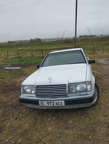 Продажа авто: Mercedes-Benz W124: 1988 г., 3 л, Механика, Дизель, Седан