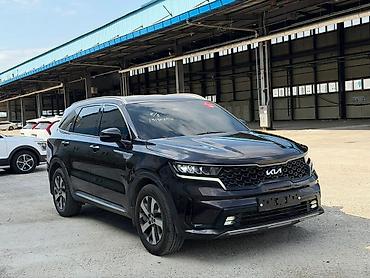 Kia: Kia Sorento: 2022 г., 2.2 л, Дизель — 3