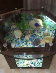 рыбы ош: Аквариумный столик/тумба с панорамным остеклением. - Форма