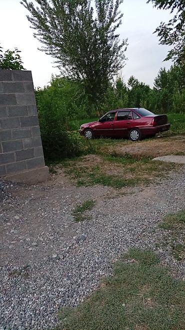 спойлеры нексия: Daewoo Nexia: 2006 г., 1.5 л, Седан — 6