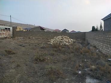 emmi tikis fabriki: 4 sot, Tikinti, Mülkiyyətçi, Kupça (Çıxarış) — 3