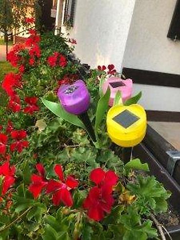 Baštenska rasveta: LED solarne baštenske lampe u obliku tulipana – Flower Power “LED — 6