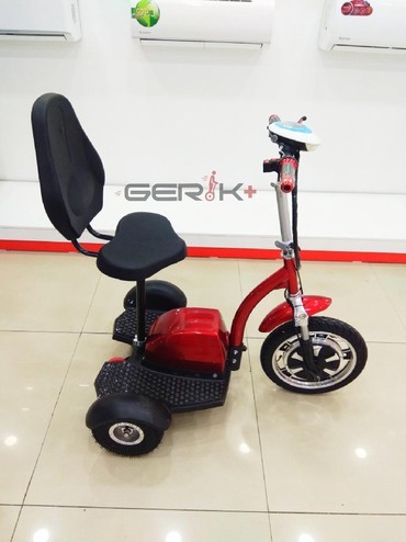 Другое для спорта и отдыха: Трицикл-колесница от магазина Gerik+ Мотор колесо 350 ватт Едит на
