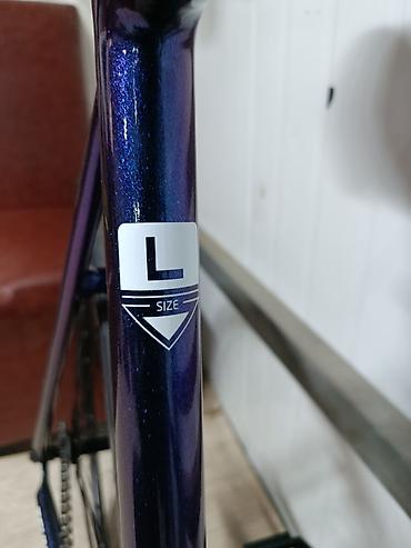 bxt fix: Городской велосипед, Tsunami, Рама L (172 - 185 см), Новый — 2