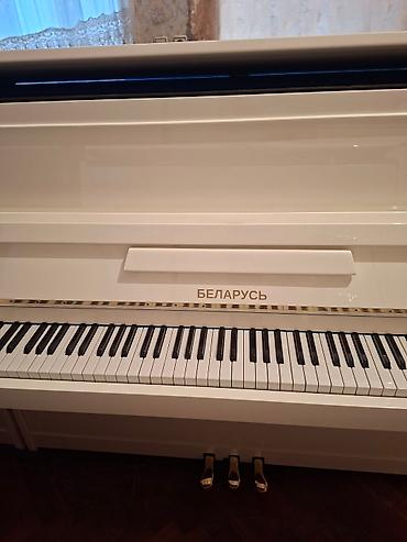 çadr: Piano, Belarus, Akustik, Yeni, Pulsuz çatdırılma — 3