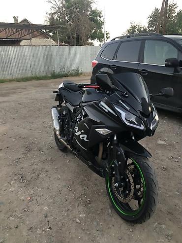 ninja h2: Спортбайк Kawasaki, 250 куб. см, Бензин, Взрослый, Б/у — 2