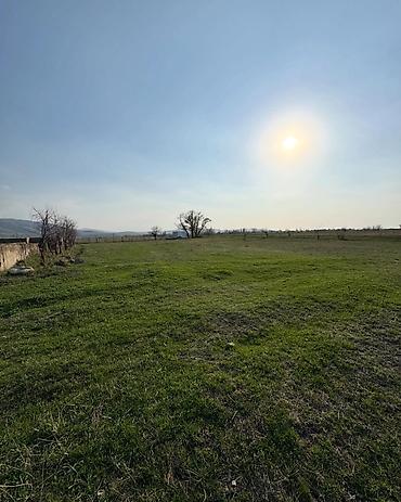 Продажа участков: 125 соток — 6