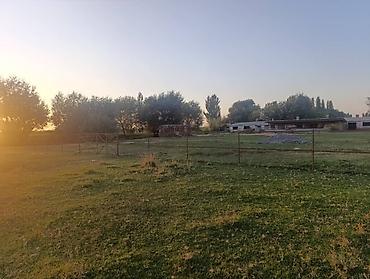 Продажа другой коммерческой недвижимости: Срочно продается кошара.( в 7 км от трасы Бишкек Кара- Балта ) 40 — 12