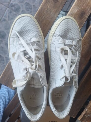 Women's Sneakers and athletic shoes: UGG, 37, bоја - Bela — 1